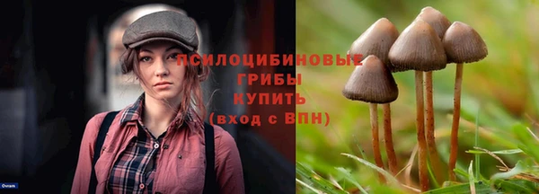 трава Зерноград