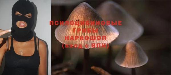 трава Зерноград