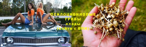 ешки Заводоуковск